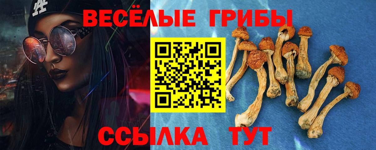 Псилоцибиновые грибы MAGIC MUSHROOMS Белгород